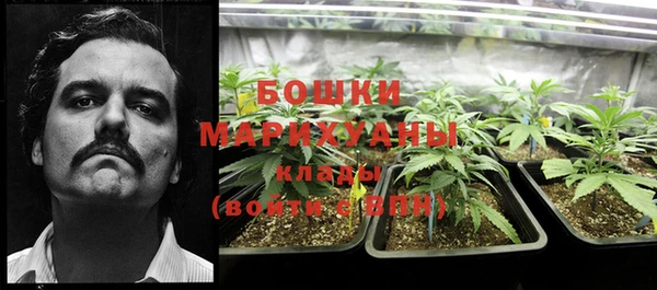 крисы Абдулино