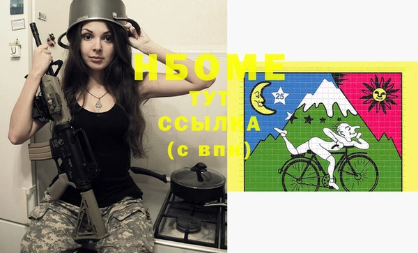 прущие грибы Алзамай