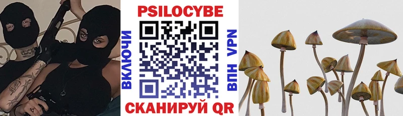 Галлюциногенные грибы Psilocybe  Туран 